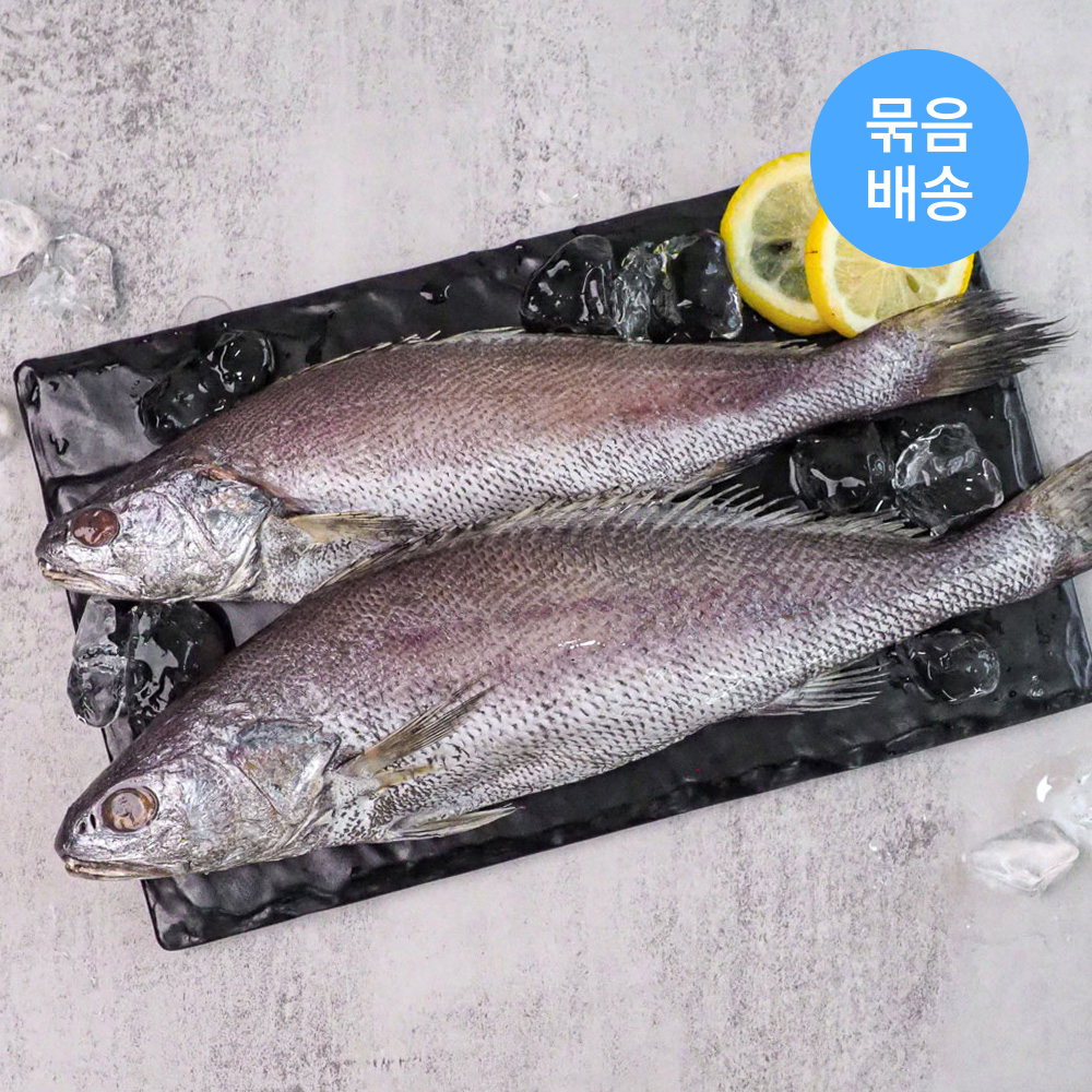 [오늘반찬] 블루머쉬 반건조민어 원물 국내산 통민어 240g 400g