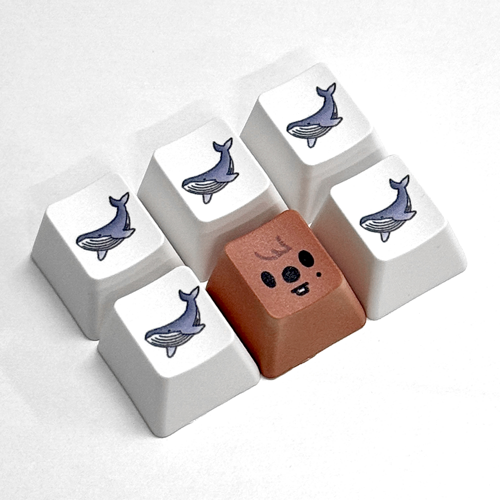 키캡 제작 인쇄 굿즈 주문제작 OEM PBT 커스텀 포인트 굿즈 한글 R1 1u