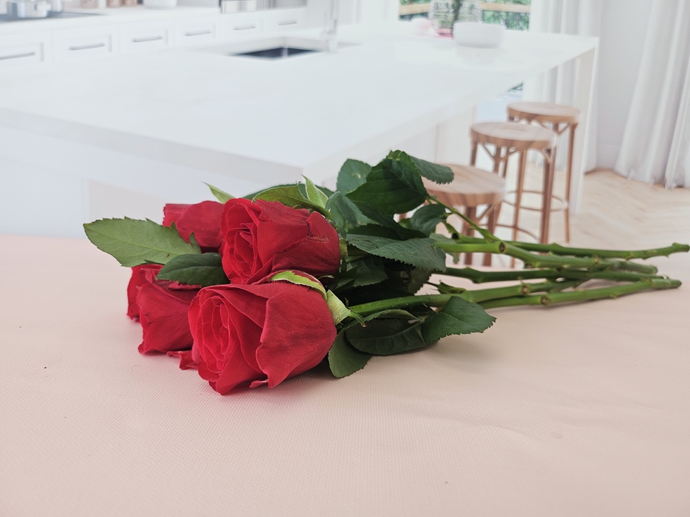 유스풀몰 빨강장미 꽃 5송이 생화 택배 꽃배달 싼곳 - 상세 이미지 4