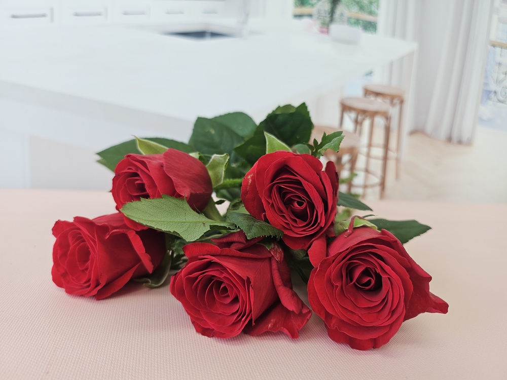 유스풀몰 빨강장미 꽃 5송이 생화 택배 꽃배달 싼곳 - 상세 이미지 5