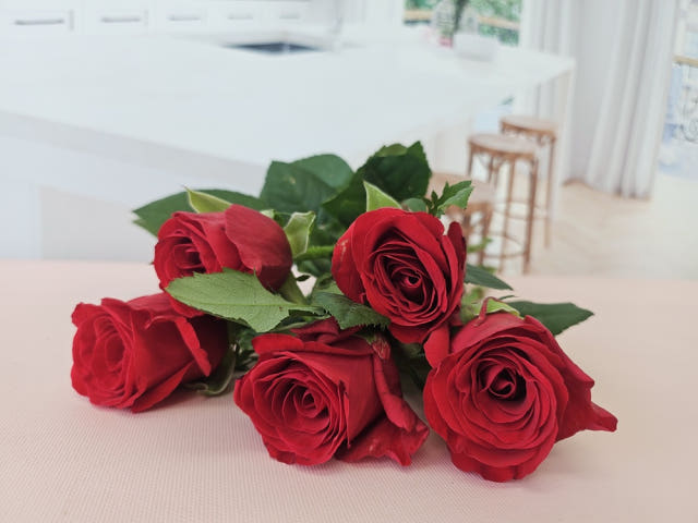 유스풀몰 빨강장미 꽃 5송이 생화 택배 꽃배달 싼곳