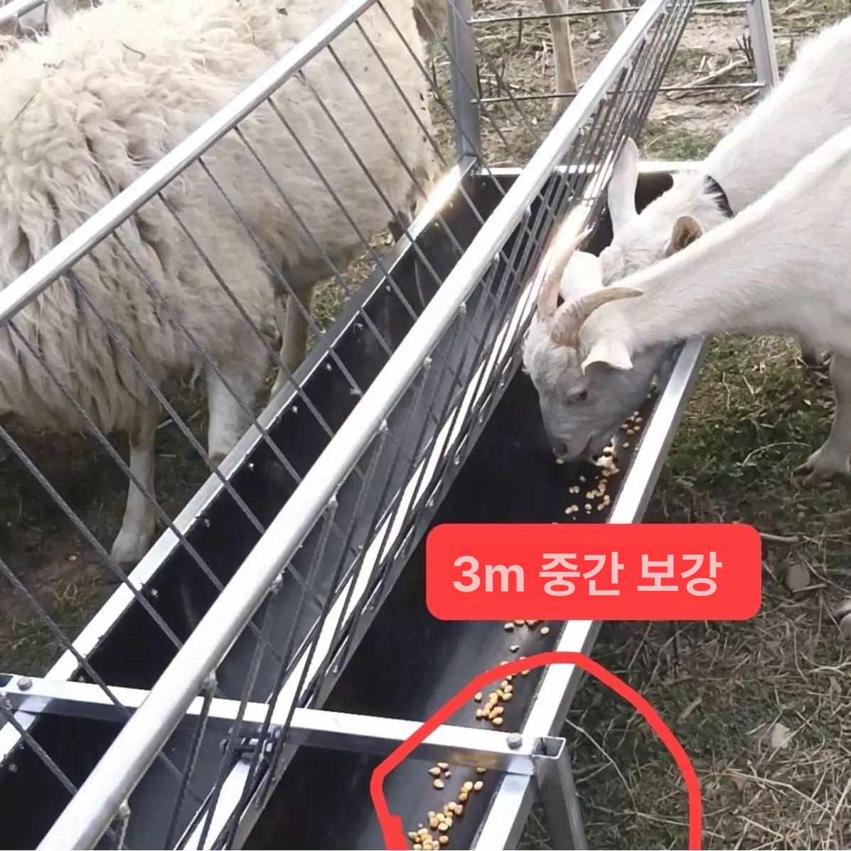 사료통 양 돼지 배식통 먹이통 식수 건초 여물통 송아지 길이 2m 양떼 전용 슬롯 - 상세 이미지 2