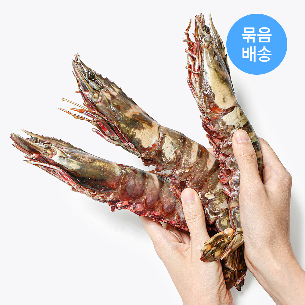 킹타이거새우 1마리 중대 대 특대 특특대 왕새우 킹 블랙타이거 냉동
