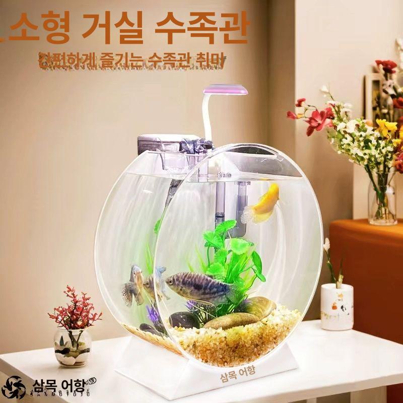 아크릴어항 사무실 거실 인테리어 가정용 다크블랙 20cm 고급 패키지 - 상세 이미지 3