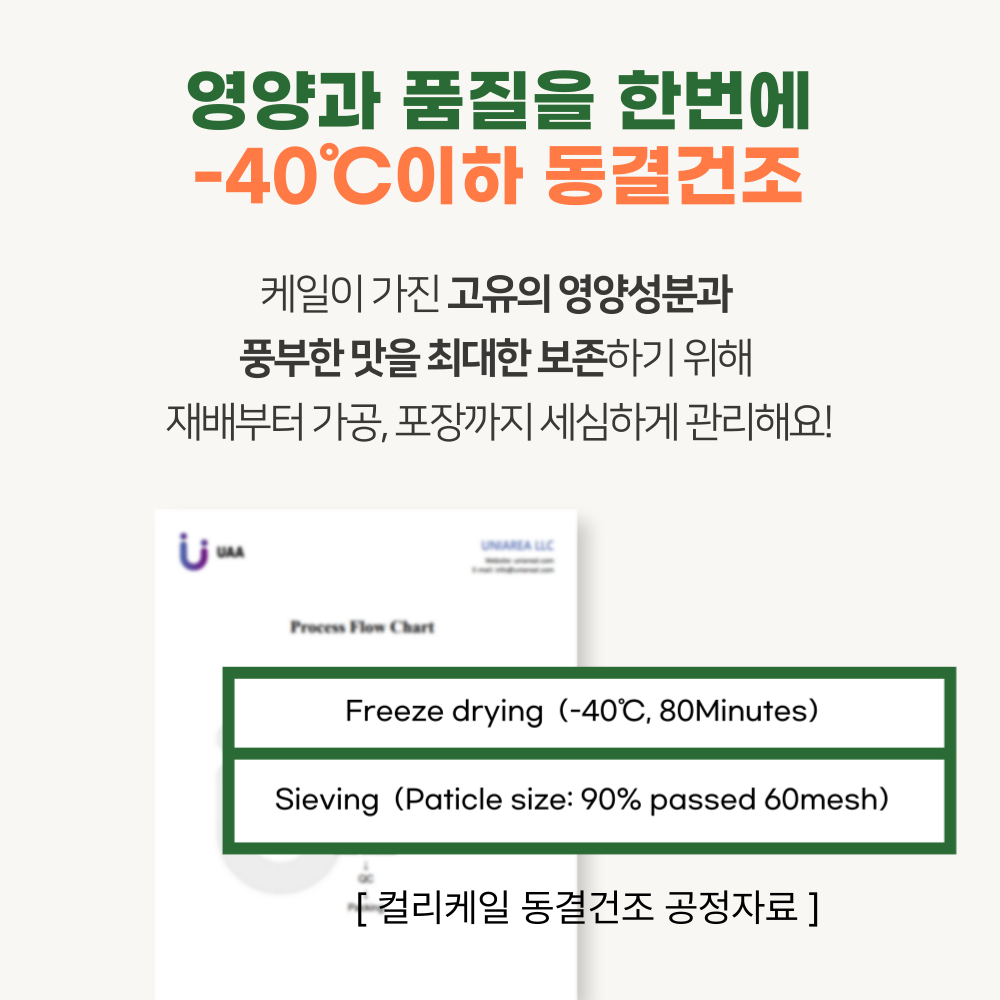 유기농 컬리케일 닥터이지 컬리뮨 동결건조 곱슬케일 글루코시놀레이드 60정, 3개 이미지 7
