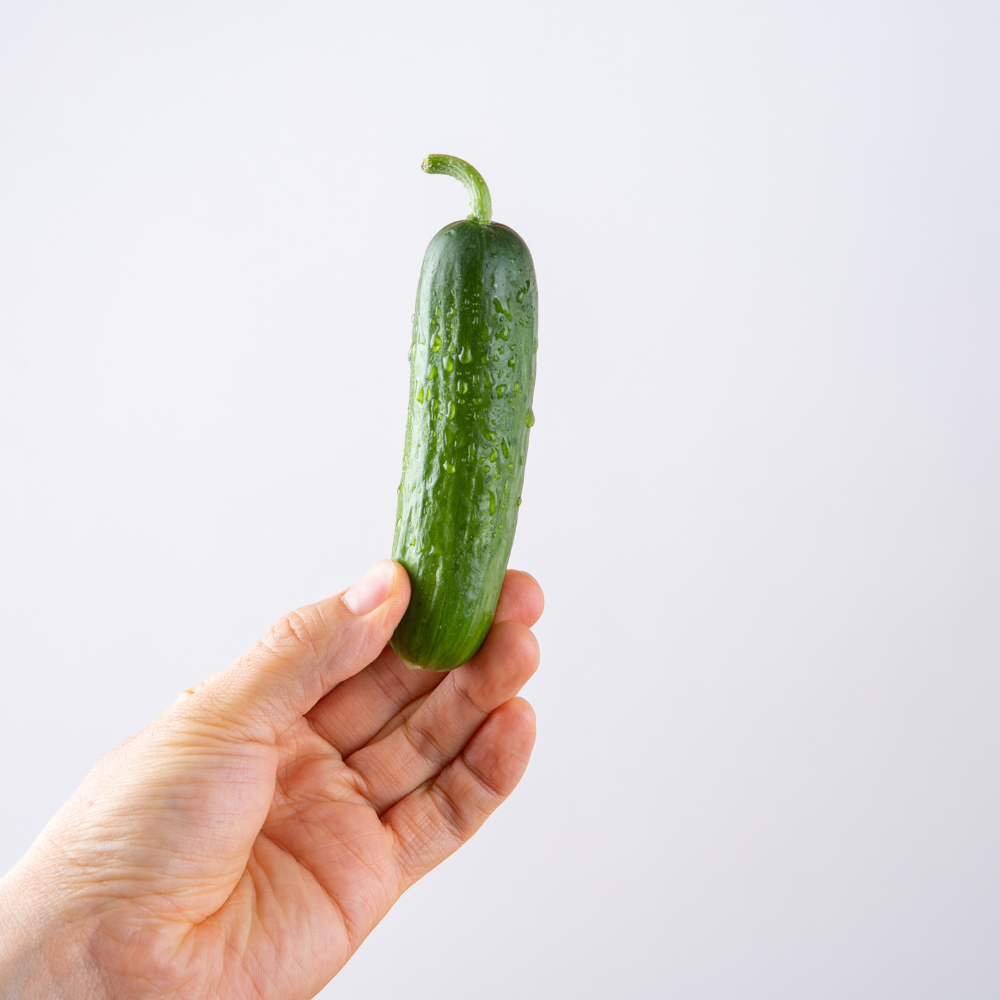 산지한입 꼬마오이 미니오이 스낵 작은 아삭 미니스탑 오이지 업소 장아찌 500g, 1개 - 상세 이미지 2
