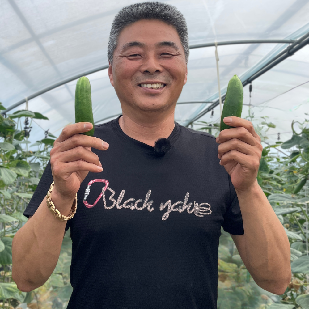 산지한입 꼬마오이 미니오이 스낵 작은 아삭 미니스탑 오이지 업소 장아찌 500g, 1개 - 상품 이미지