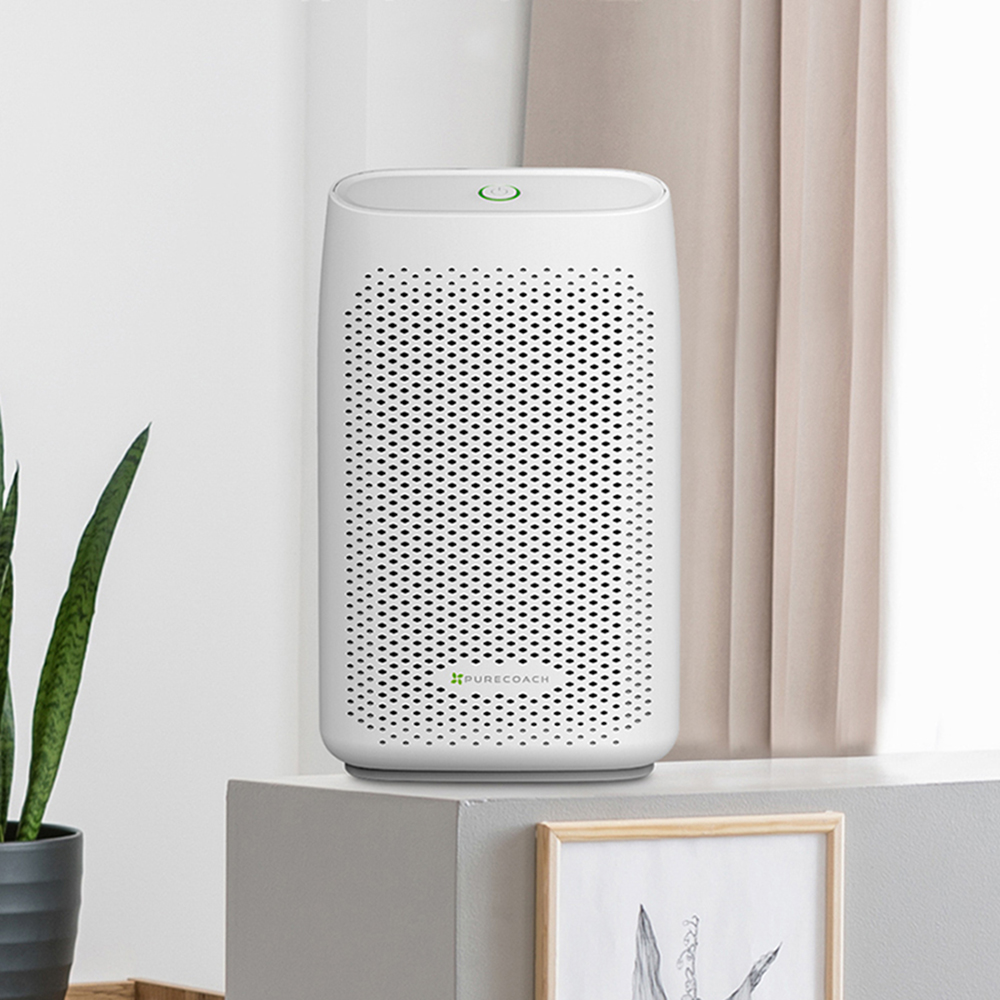 퓨어코치 신발 건조기 제습기 세트 집들이 선물 자취생 필수템 SD02F+DH750 상품 이미지