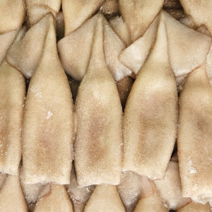 튜브 오징어 10kg 내장제거 손질오징어 몸통 선동 포크 통오징어 맛있게 먹은 솔직 후기 - 상품 이미지 2