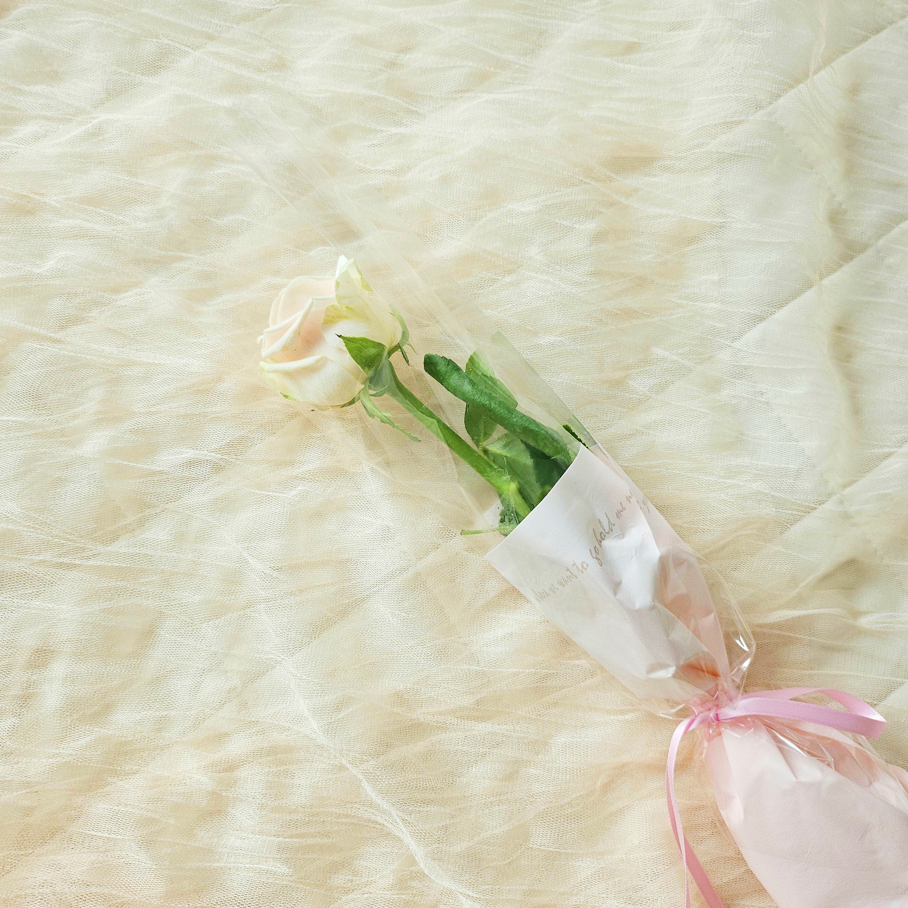 마음꽃히다 생화 한송이 포장 꽃배달싼곳 꽃선물 생화택배 양재꽃시장 장미 카네이션 리시안셔스 이미지 6