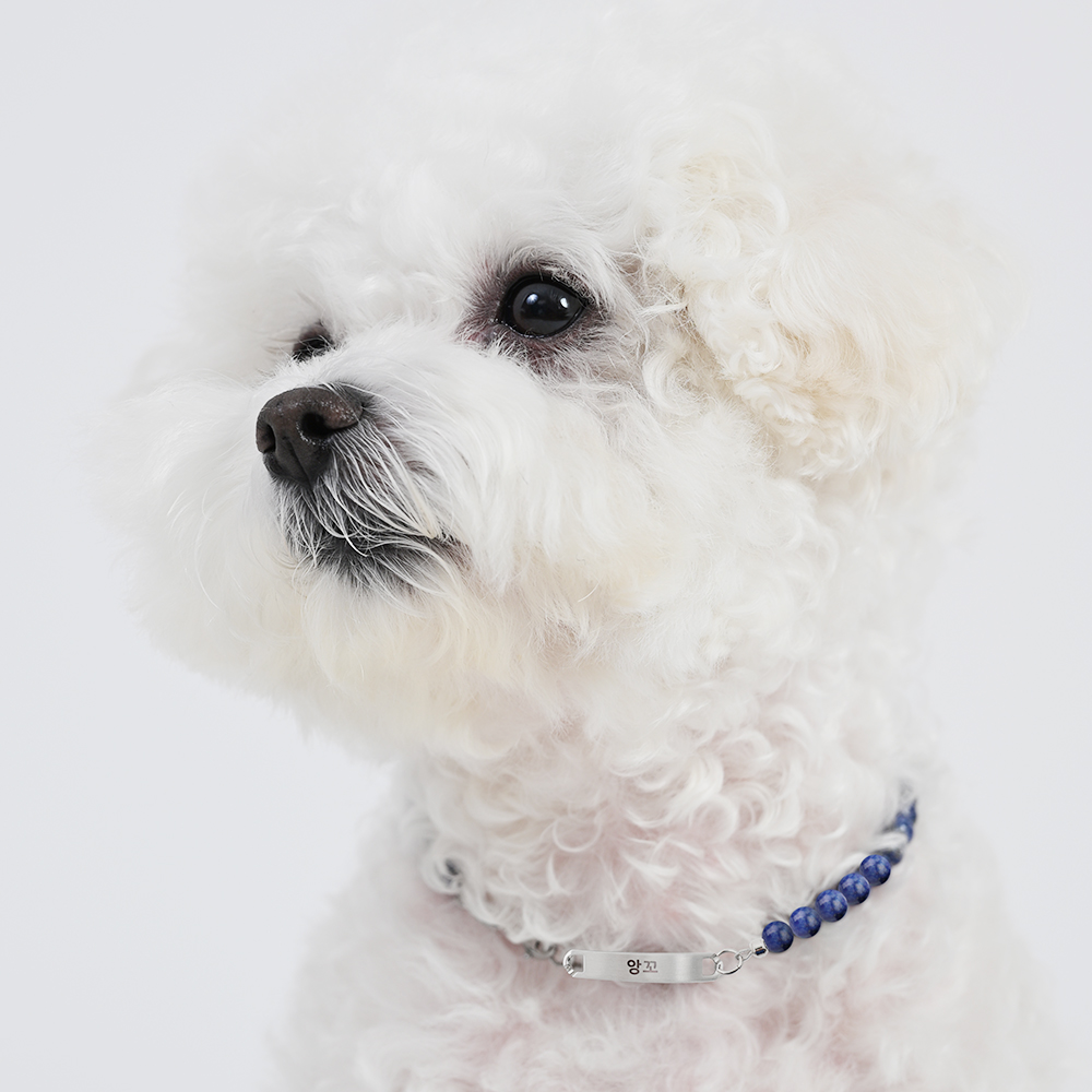 델릭서 강아지목걸이 천연석 원석 인식표 고양이 목걸이 써지컬 네임택 이름표 반려견 반려묘 - 상세 이미지 2