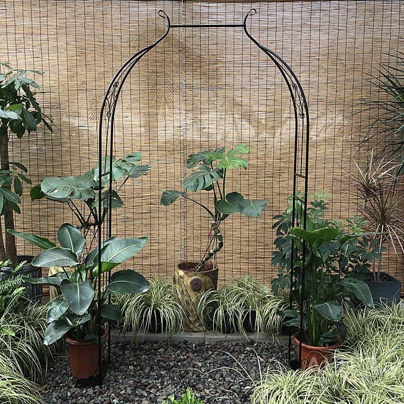 철 포도 랙 정원 클레 로즈 지지대 야외식물 간결형 검정 80cm - 상세 이미지 4