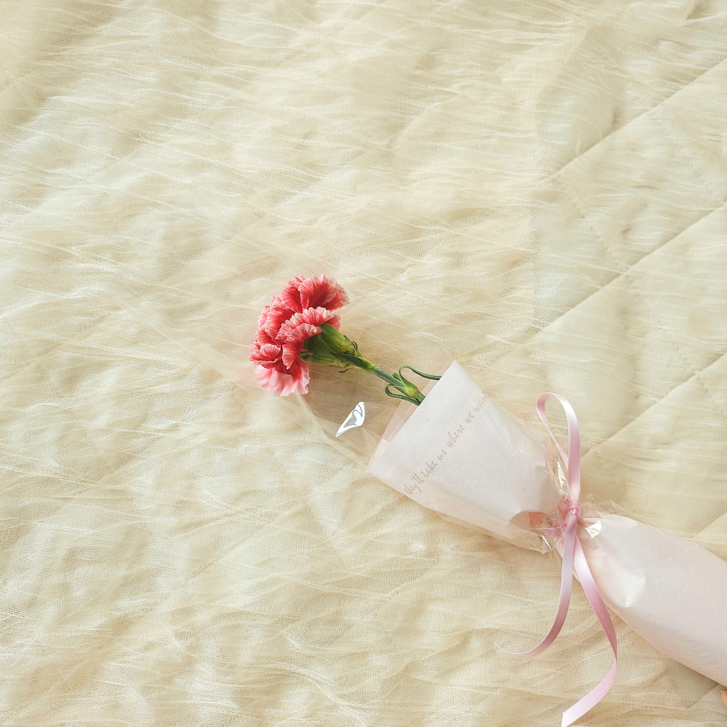 마음꽃히다 생화 한송이 포장 꽃배달싼곳 꽃선물 생화택배 양재꽃시장 장미 카네이션 리시안셔스 - 상세 이미지 2