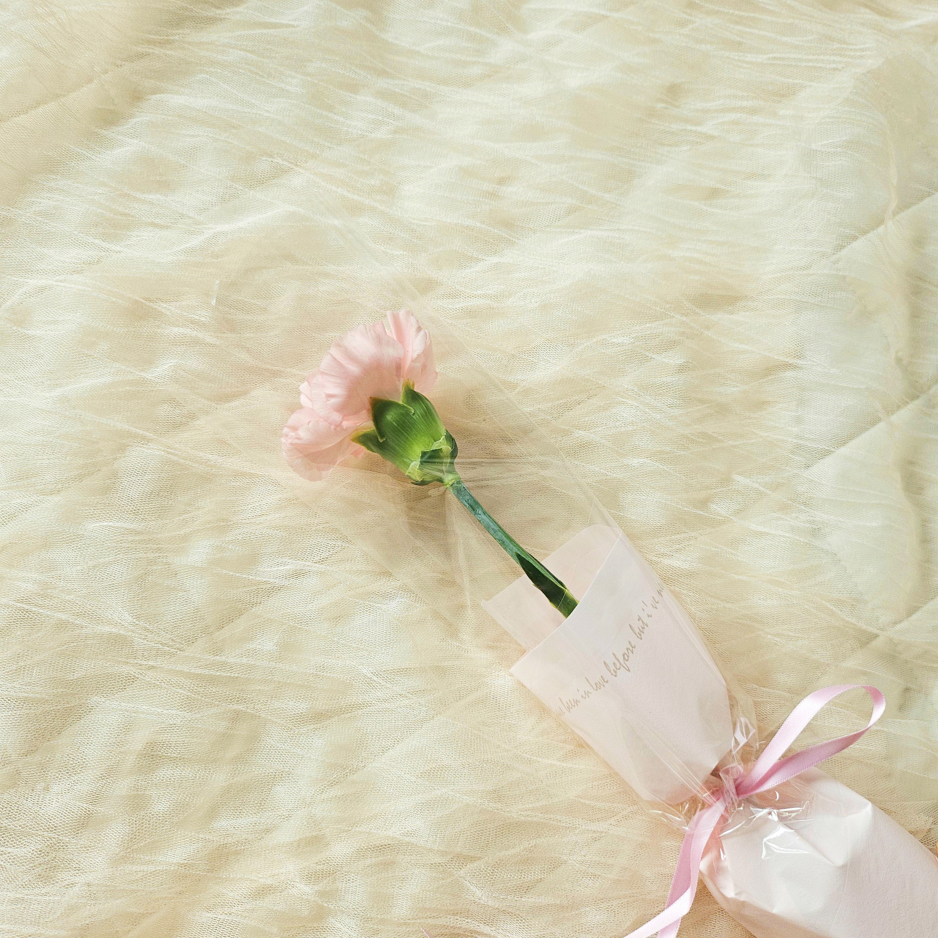 마음꽃히다 생화 한송이 포장 꽃배달싼곳 꽃선물 생화택배 양재꽃시장 장미 카네이션 리시안셔스 - 상세 이미지 5