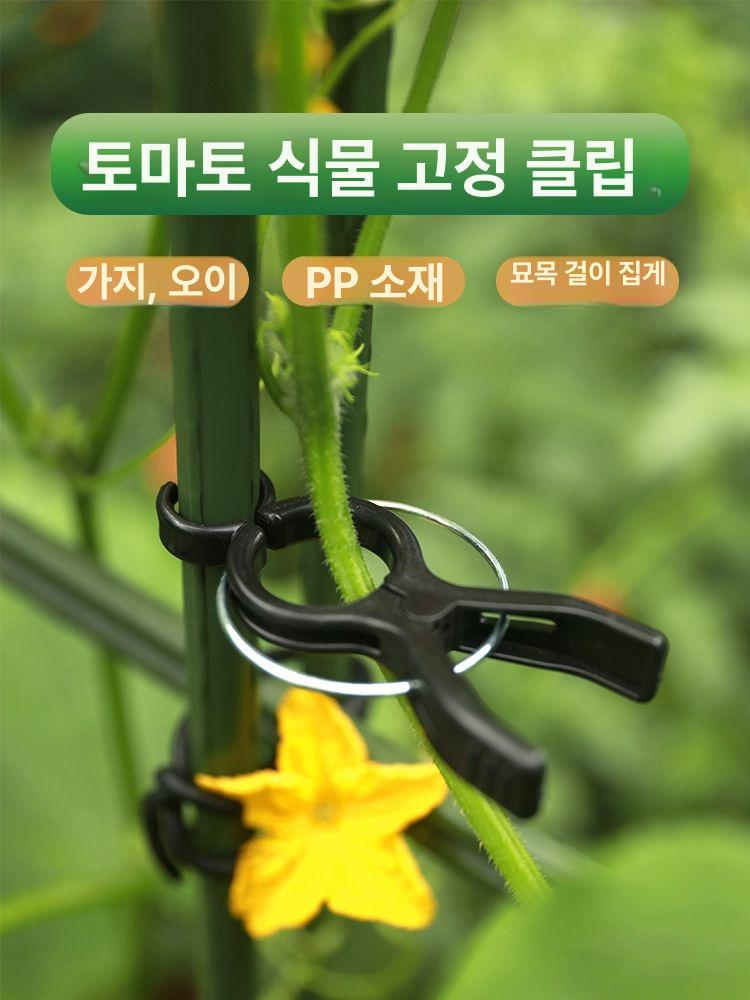 넝쿨 집게 줄기 원예용 화초 텃밭 덩쿨 부착식 작물 11mmx150cm 지지대x5개+클립 대 - 상세 이미지 2