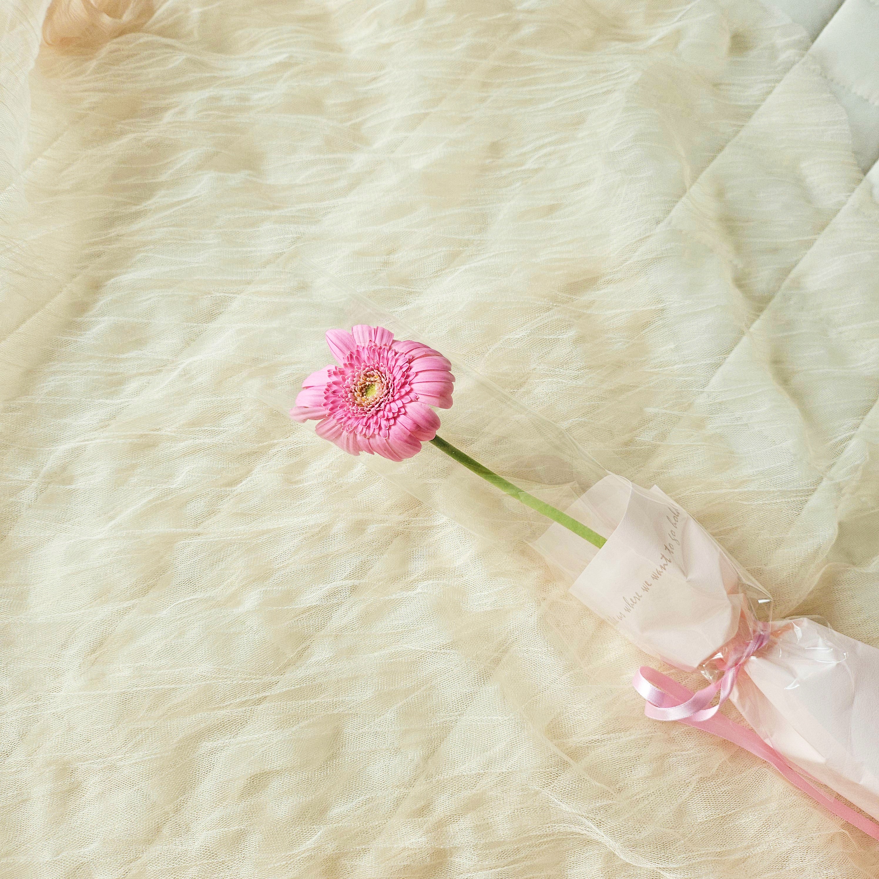 마음꽃히다 생화 한송이 포장 꽃배달싼곳 꽃선물 생화택배 양재꽃시장 장미 카네이션 리시안셔스 이미지 8