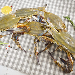 연평도 꽃게 숫꽃게 암꽃게 생물 활꽃게 알배기 서해안 손질 절단 절단꽃게 맛있게 먹은 솔직 후기 - 상품 이미지 4