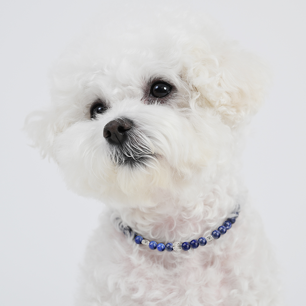 델릭서 강아지목걸이 천연석 원석 인식표 고양이 목걸이 써지컬 네임택 이름표 반려견 반려묘