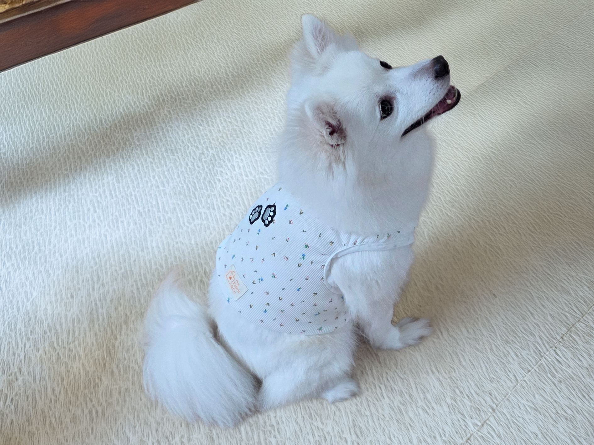 강아지 티셔츠 부드러운 민소매탑 시원한 강아지 반려견 옷 민소매나시 데일리 의류 홈웨어 - 상세 이미지 2