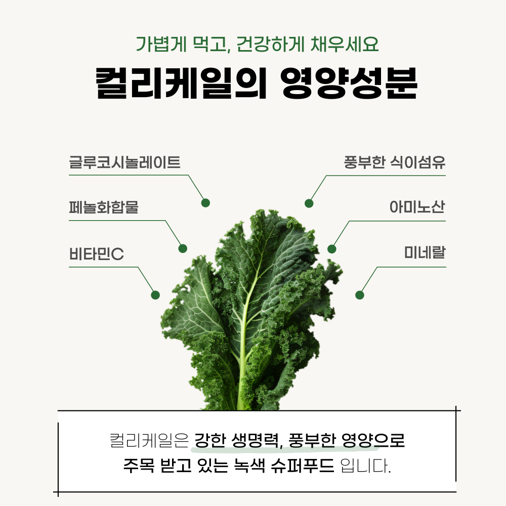 유기농 컬리케일 닥터이지 컬리뮨 동결건조 곱슬케일 글루코시놀레이드 60정, 6개 - 상세 이미지 5