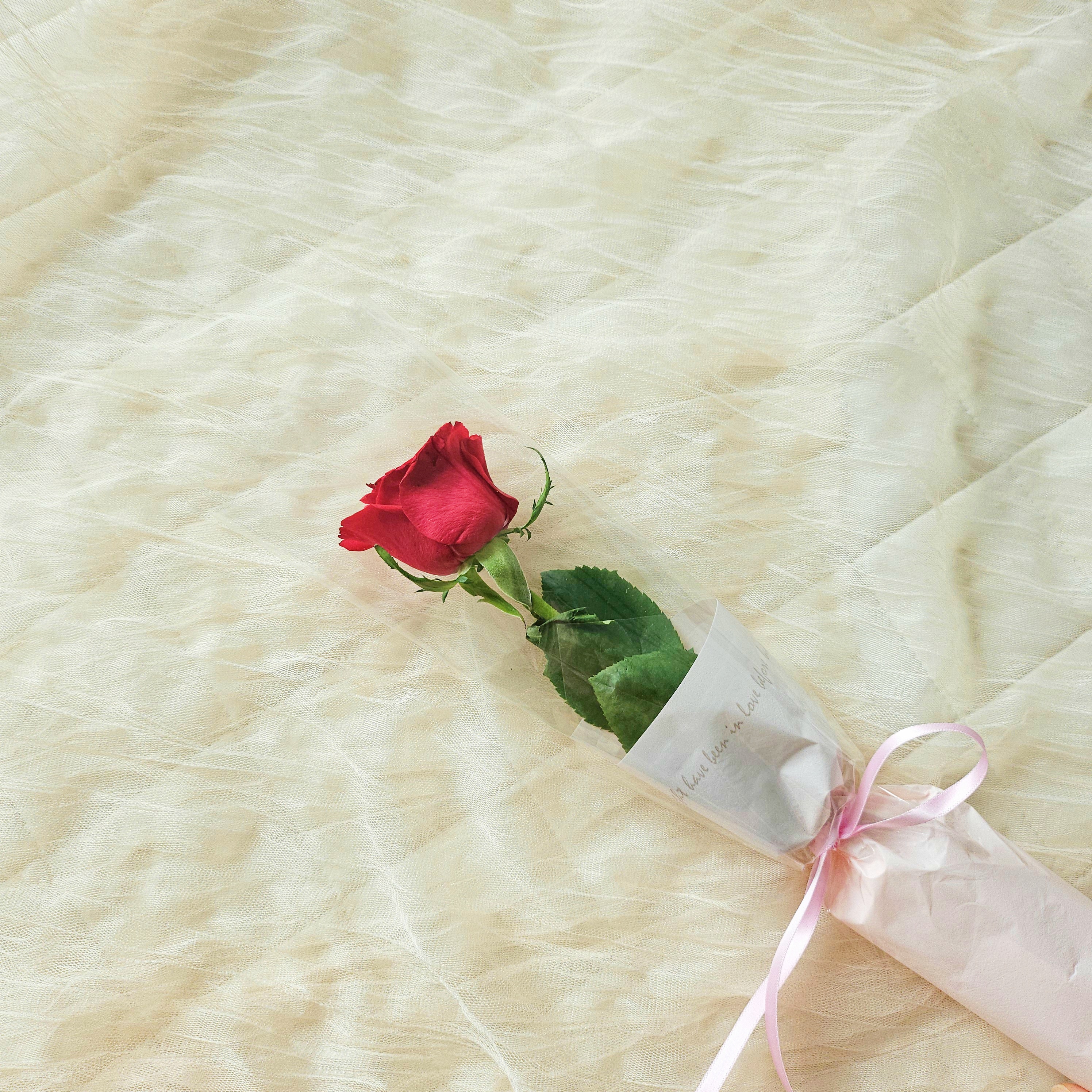 마음꽃히다 생화 한송이 포장 꽃배달싼곳 꽃선물 생화택배 양재꽃시장 장미 카네이션 리시안셔스 이미지 7