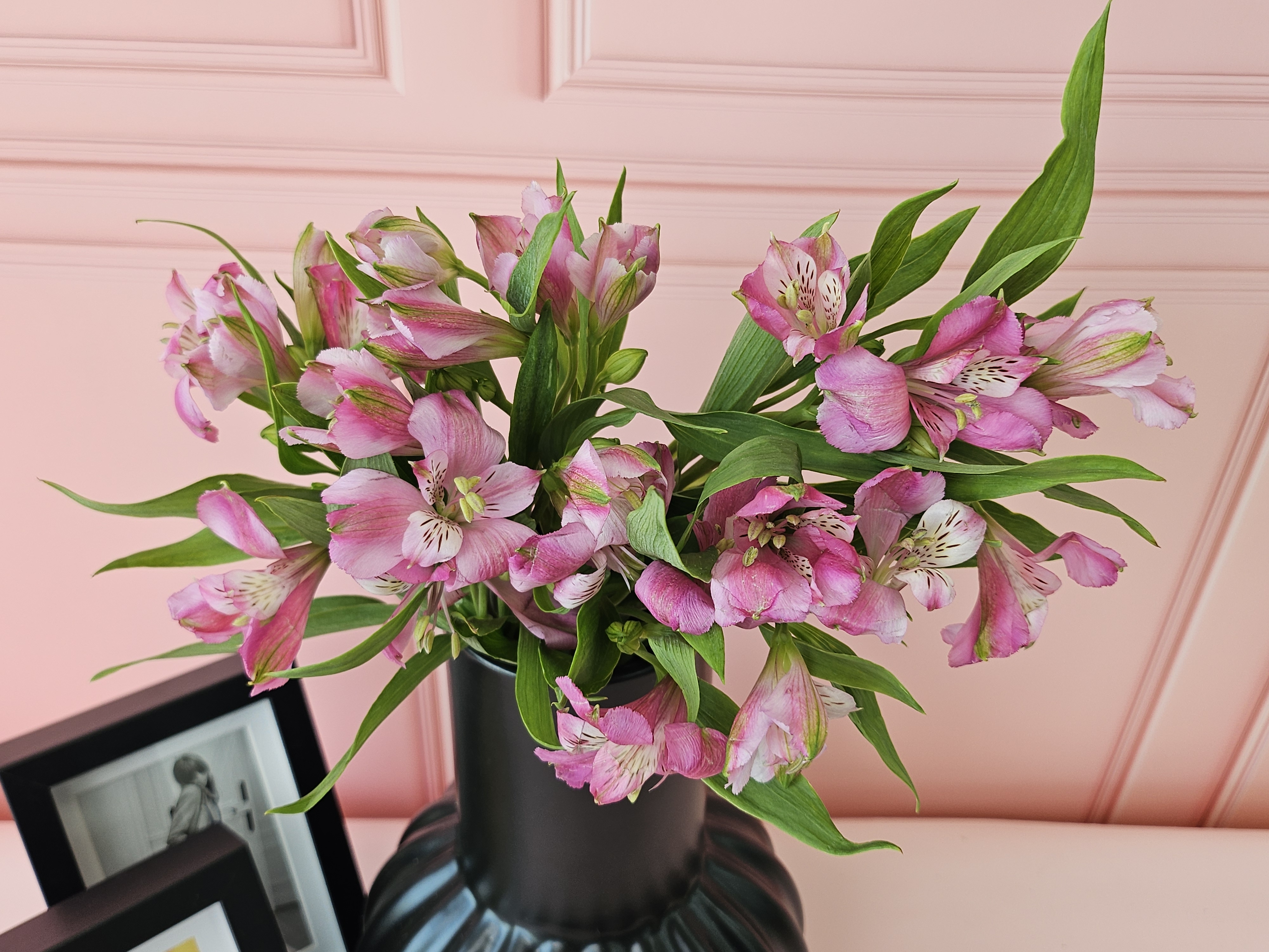 유스풀몰 생화 알스트로메리아 랜덤색상 5송이 꽃배달싼곳 꽃 이미지 4