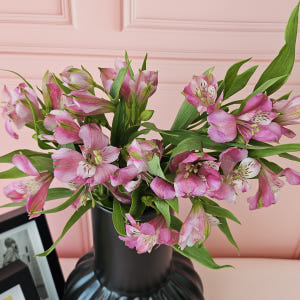 유스풀몰 생화 알스트로메리아 랜덤색상 5송이 꽃배달싼곳 꽃 솔직 후기 | 실사용자 리뷰 분석 - 상품 이미지 4