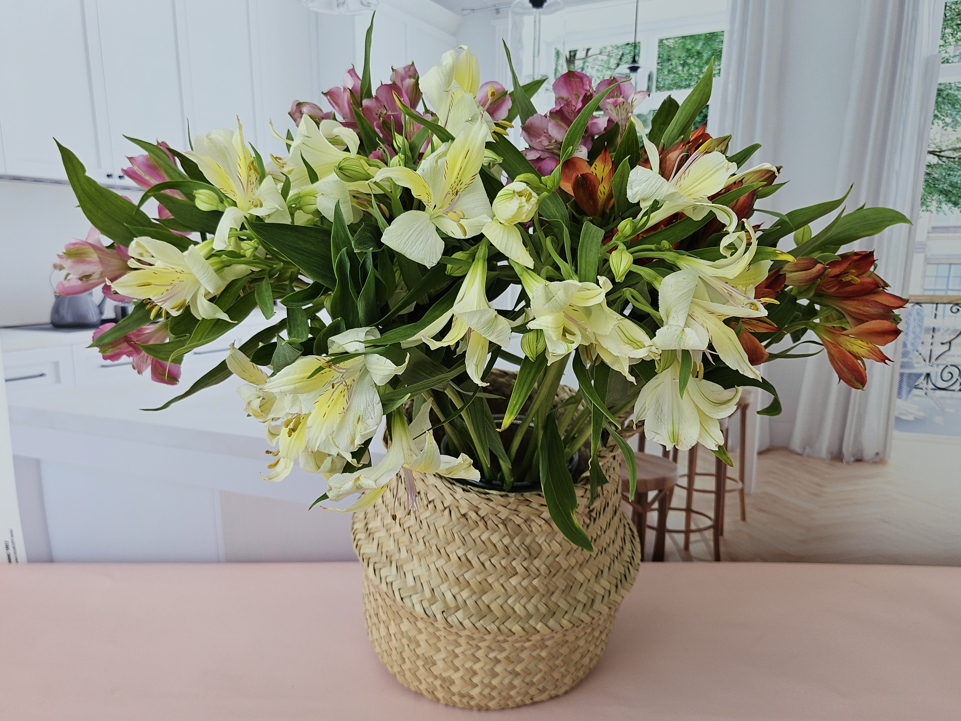 유스풀몰 생화 알스트로메리아 랜덤색상 5송이 꽃배달싼곳 꽃 이미지 3