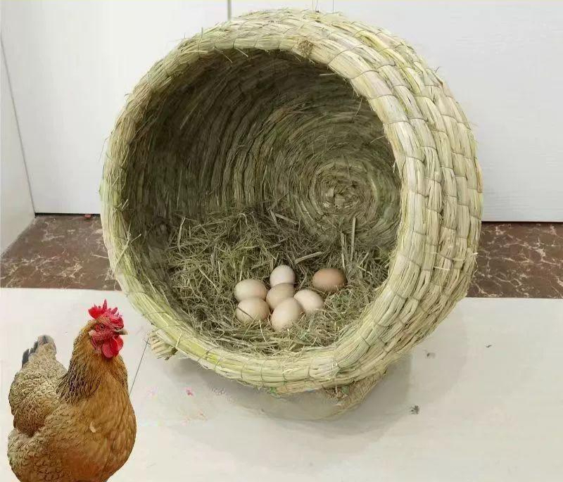 야외양계장 사육장 닭알낳는집 산란통 달걀 대형 알둥지 확대형 1호 건초 35x35 S - 상품 이미지