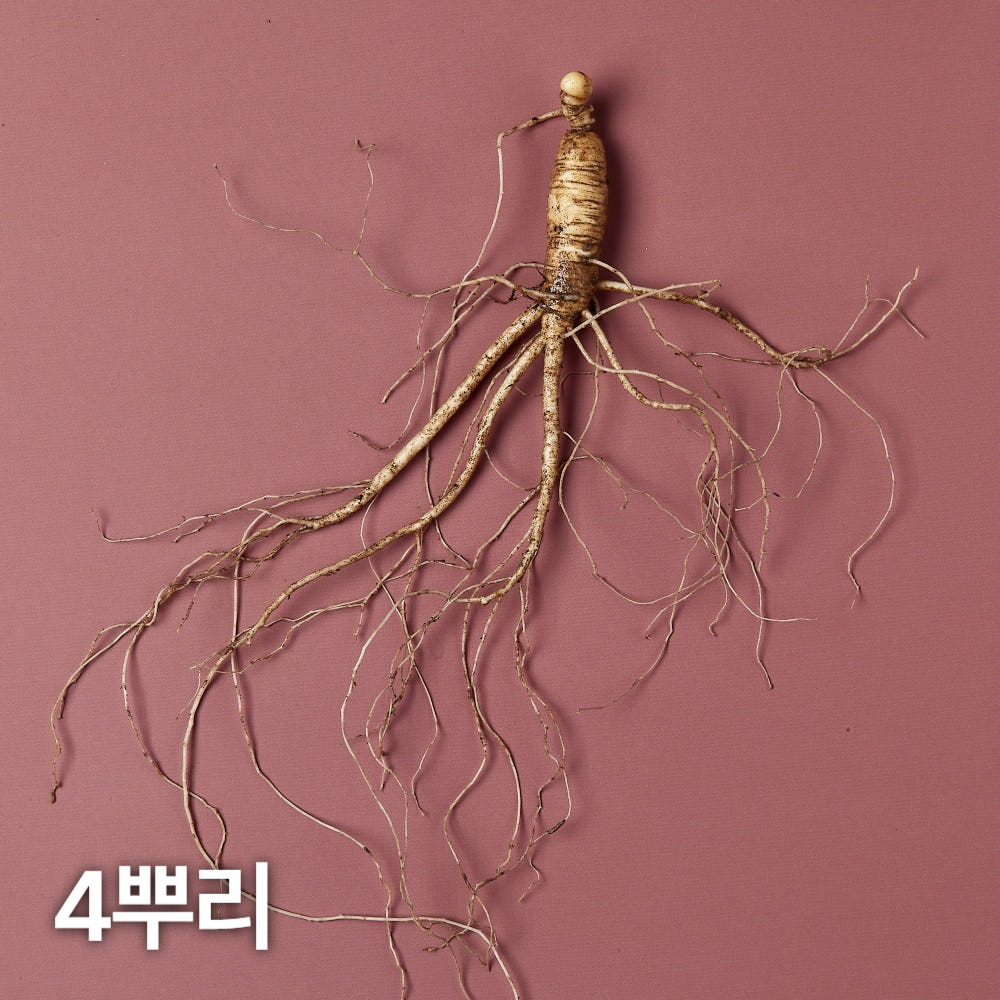 7,8년근 산양산삼 4뿌리 산양삼 장뇌삼