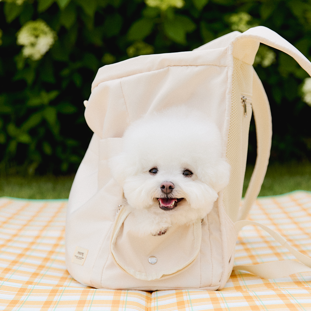 뭉연구소 강아지 가방 산책 이동가방 앞가방 백팩 이미지 6