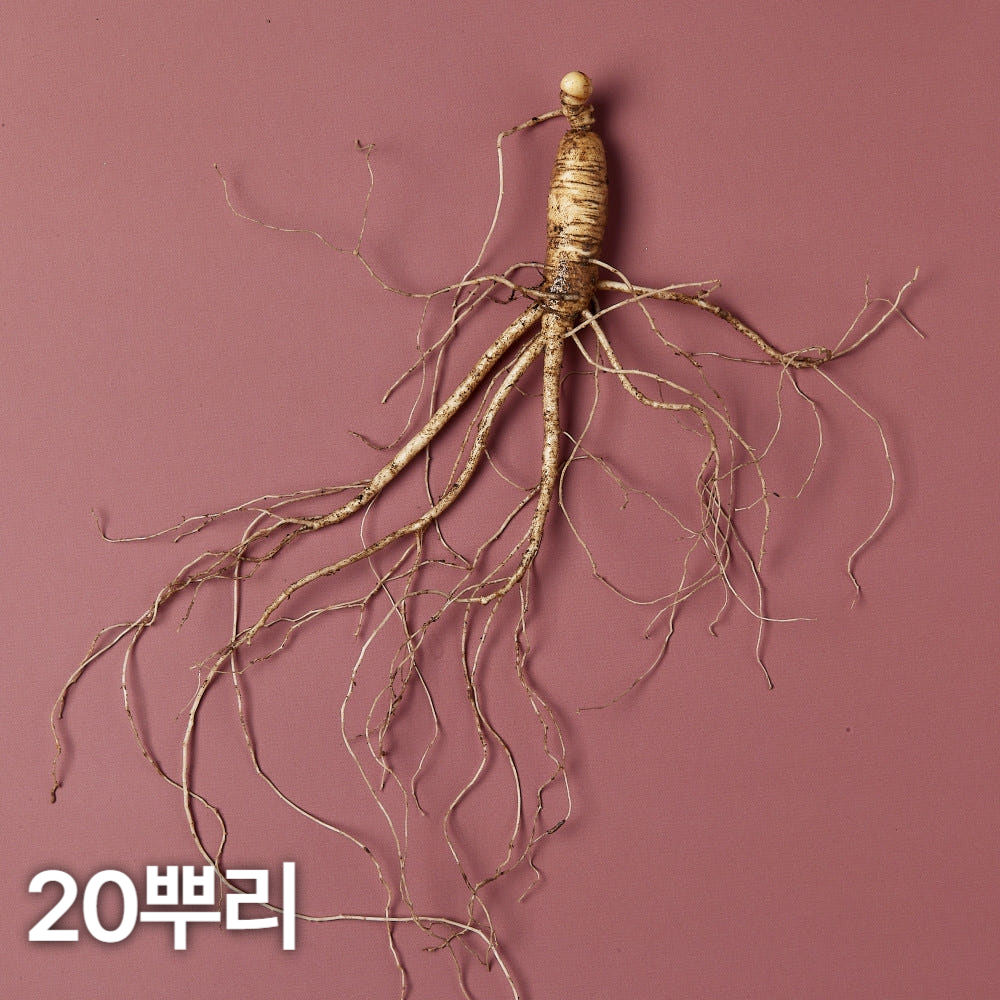 7,8년근 산양산삼 20뿌리 산양삼 장뇌삼