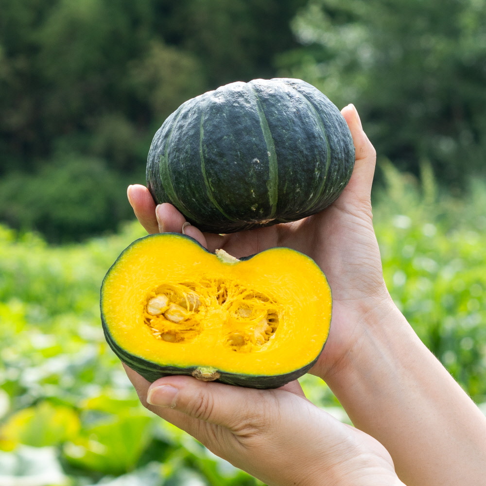간편하게 손질한 조각 미니 단호박(냉동, 유기농)호박죽 샐러드 베이킹재료 1kg, 1개 - 상세 이미지 4