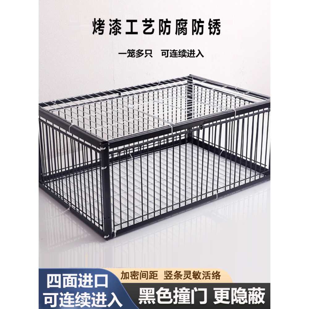 유해 조류 포획기 자동문 비둘기 새 잡는 케이지 트랩 60x40x26 이미지 6