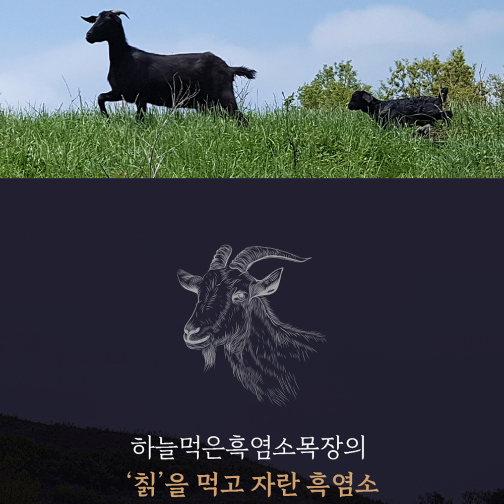 보감 흑염소진액 100 경희대학교 법인직영기업 공동개발 자연방목 국산 즙 30포, 3개 - 상세 이미지 3