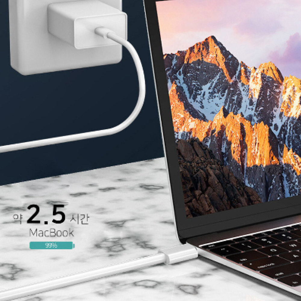 베이직 USB C to C PD 초고속 충전케이블 100W 50cm - 상세 이미지 2