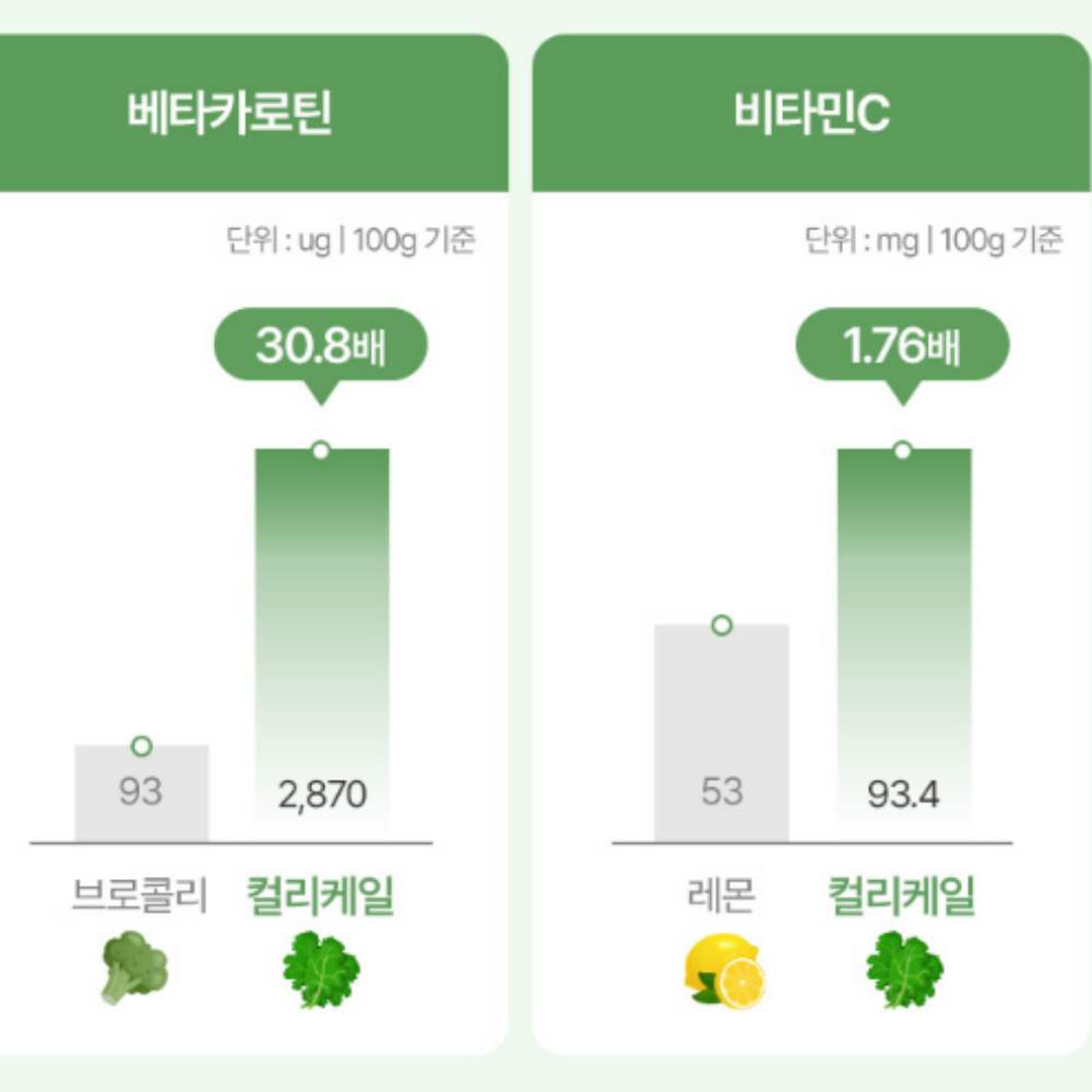 컬러케일 분말 100% 동결건조 콜리 곱슬 컬리 케일 가루 파우더 효능 대용량120G3통 이미지 6