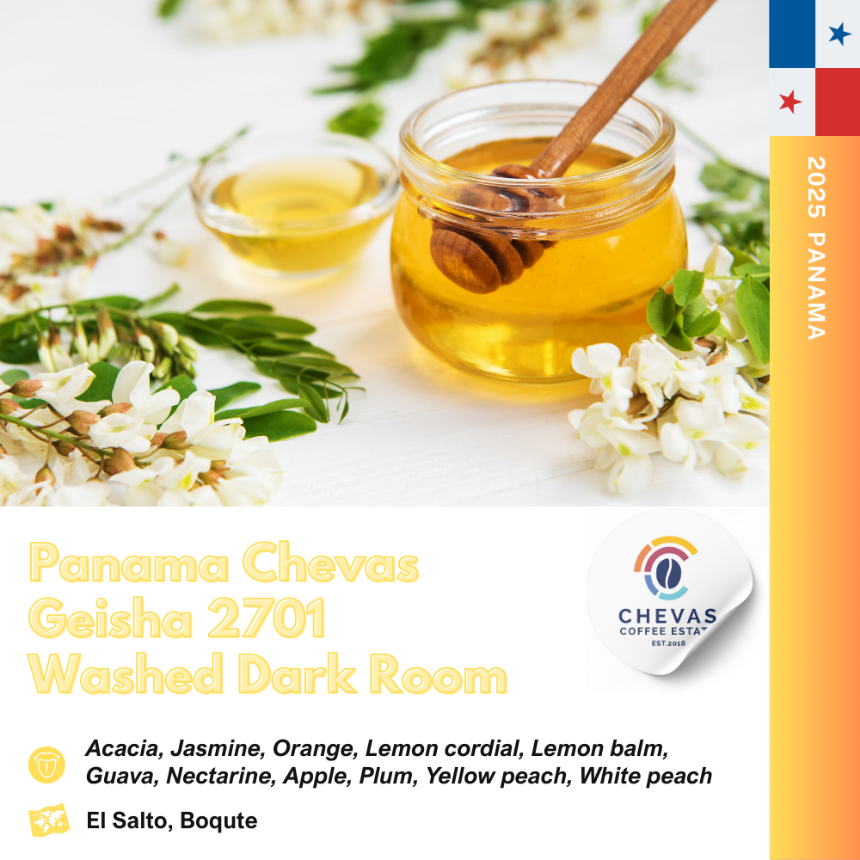 파나마 체바스 워시드 다크룸 LOT 2701