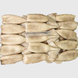 튜브 오징어 10kg 내장제거 손질오징어 몸통 선동 포크 통오징어 맛있게 먹은 솔직 후기 - 상품 이미지 3