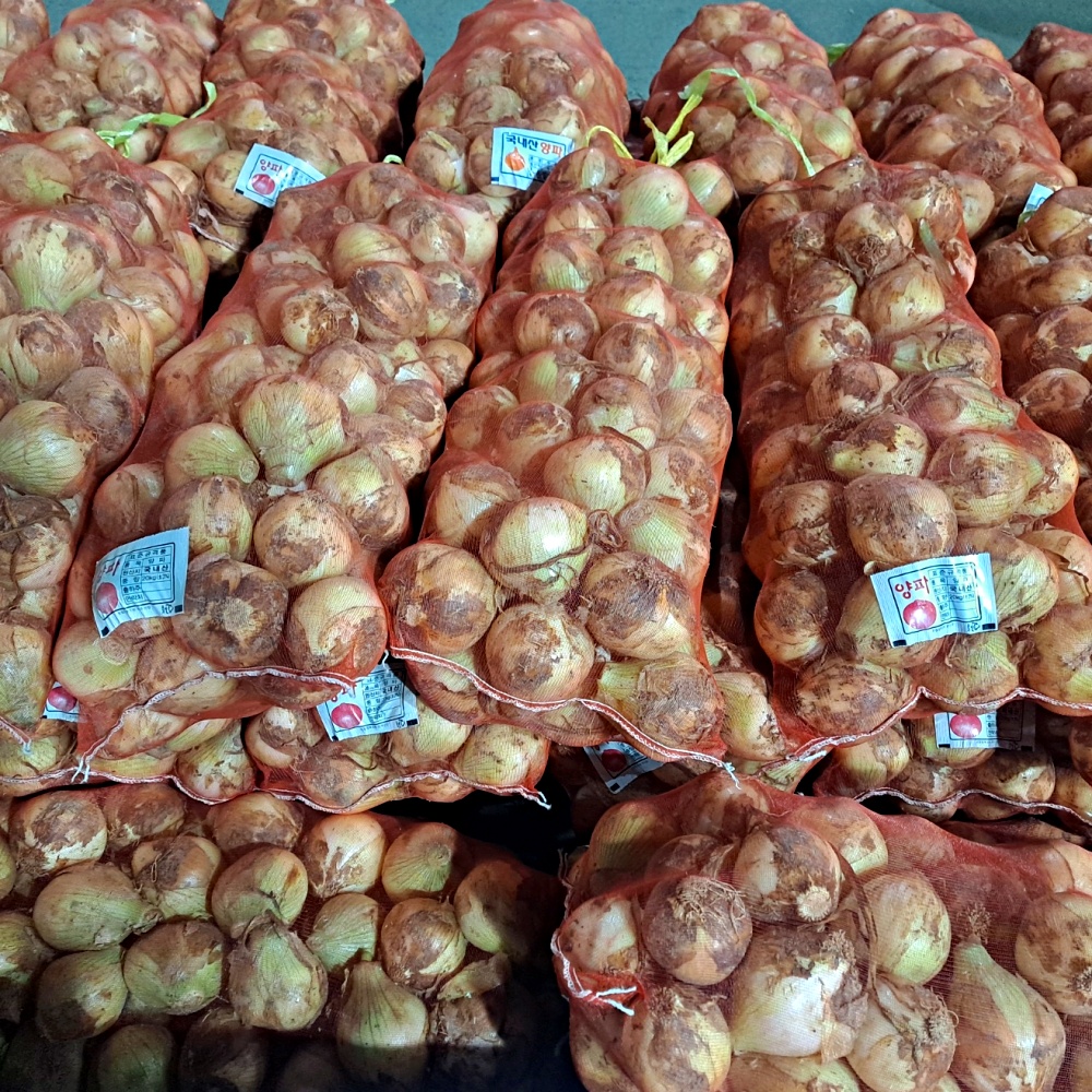 만생종 무안 창녕 양파 10kg 20kg 소과 중과 대과 - 상세 이미지 4