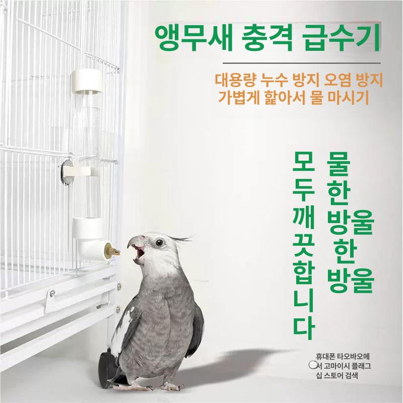 앵무새 물통 조류 모이통 음료수기 식수대 공급기 대형 80ml 충전식 음수기 - 상세 이미지 2