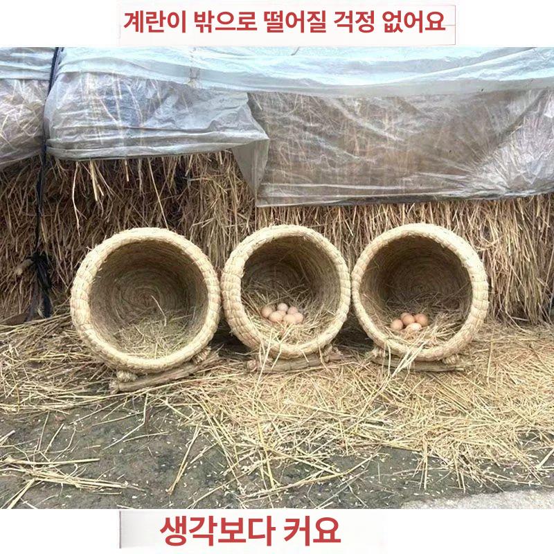 야외양계장 사육장 닭알낳는집 산란통 달걀 대형 알둥지 확대형 1호 건초 35x35 S - 상세 이미지 5
