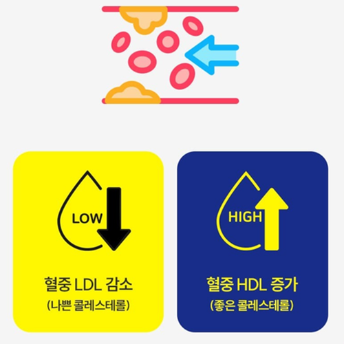 EnB 하루비움 액상 스틱 28g 14포 1박스 배변활동 혈중 중성지질 식후 혈당 관리 - 상세 이미지 5