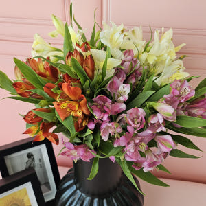 유스풀몰 생화 알스트로메리아 랜덤색상 5송이 꽃배달싼곳 꽃 솔직 후기 | 실사용자 리뷰 분석 - 상품 이미지 1