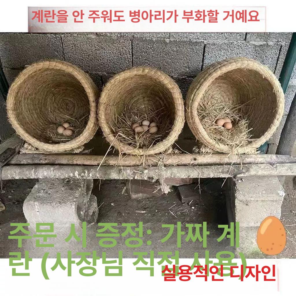 야외양계장 사육장 닭알낳는집 산란통 달걀 대형 알둥지 확대형 1호 건초 35x35 S - 상세 이미지 4