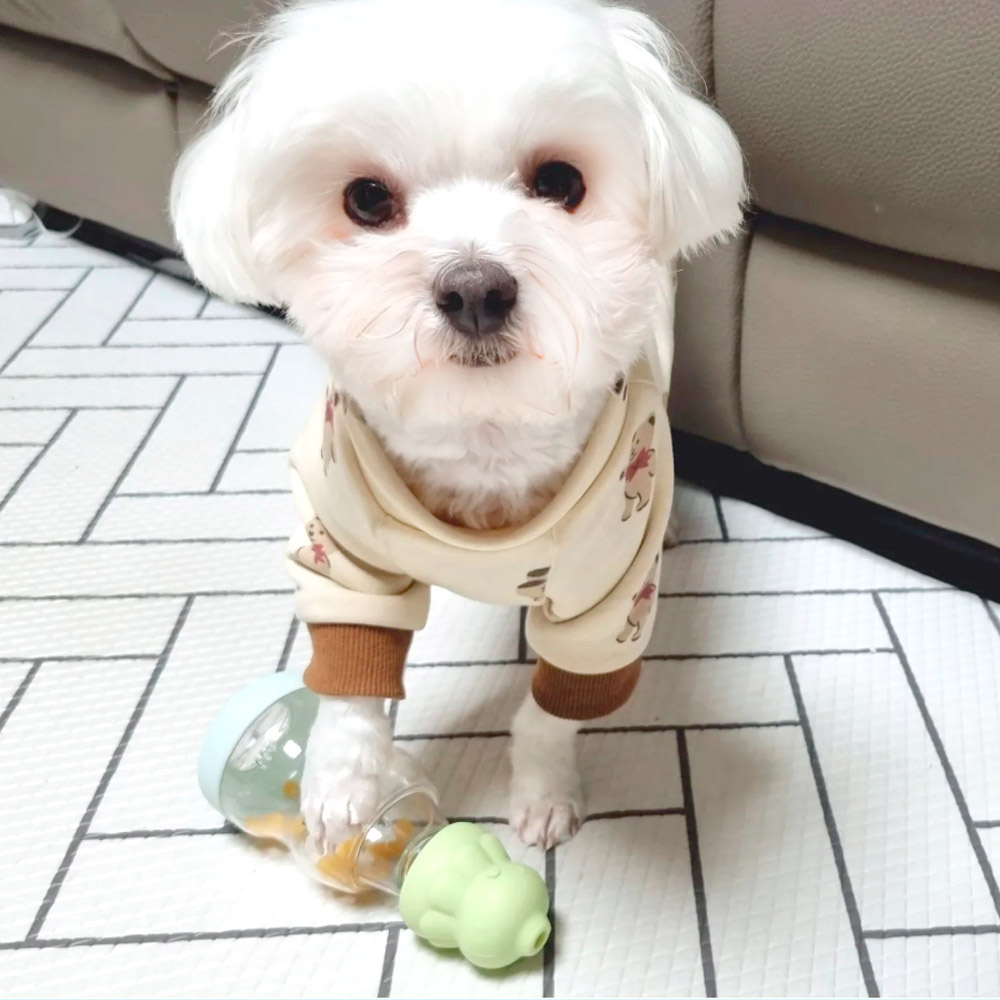아가프라펫 노즈워크 킁킁문어+패트병L 강아지 장난감 실리콘 국내생산 펫 콩 공 볼 분리불안 - 상품 이미지