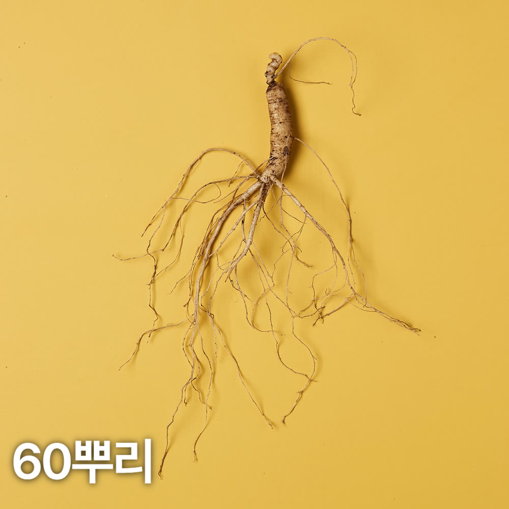 5,6년근 산양산삼 60뿌리 산양삼 장뇌삼