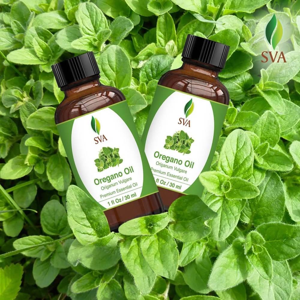 SVA 오레가노 오일 30ml - 상세 이미지 4