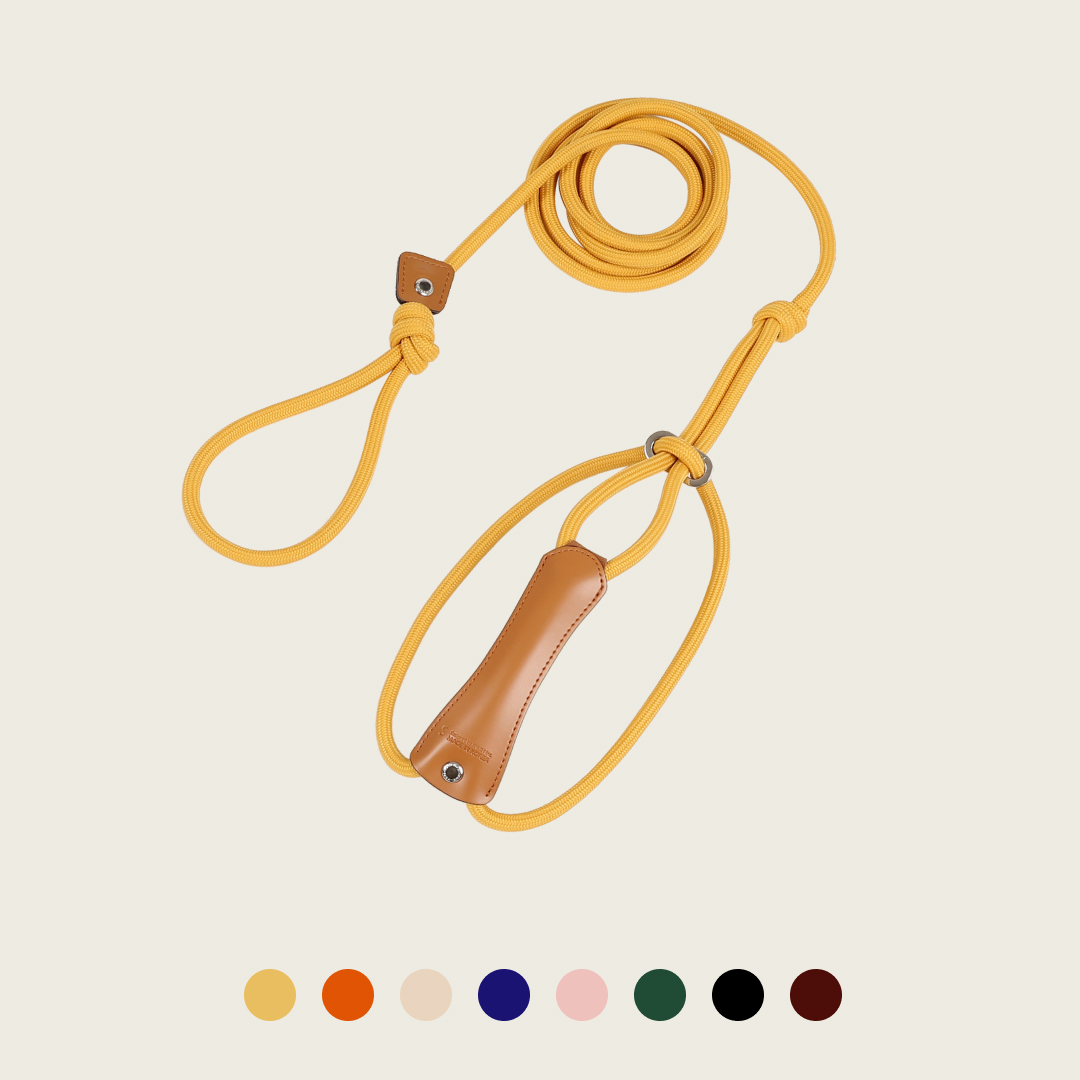 호지 올인원 강아지 일체형 로프 하네스 S 반려동물 반려견 가슴줄 소형견 중형견 대형견