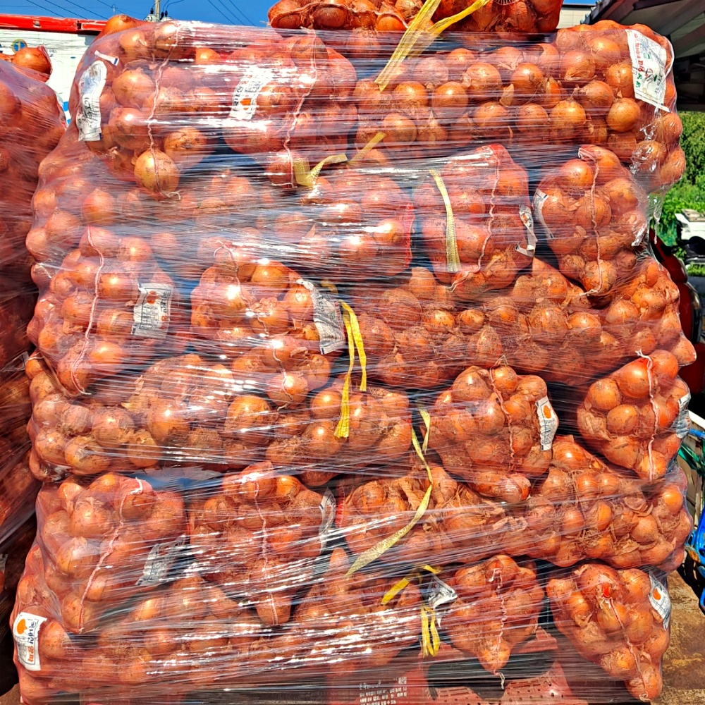 햇양파 무안 창녕 만생종 양파 3kg 5kg 10kg 소과 중과 대과 - 상세 이미지 2